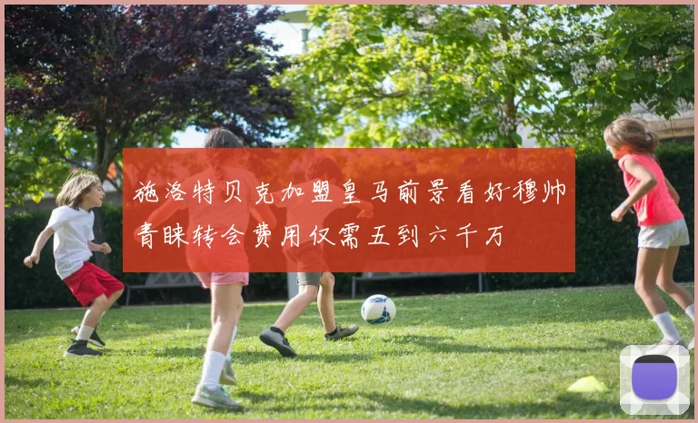 施洛特贝克加盟皇马前景看好穆帅青睐转会费用仅需五到六千万